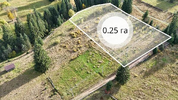  - фото нерухомості